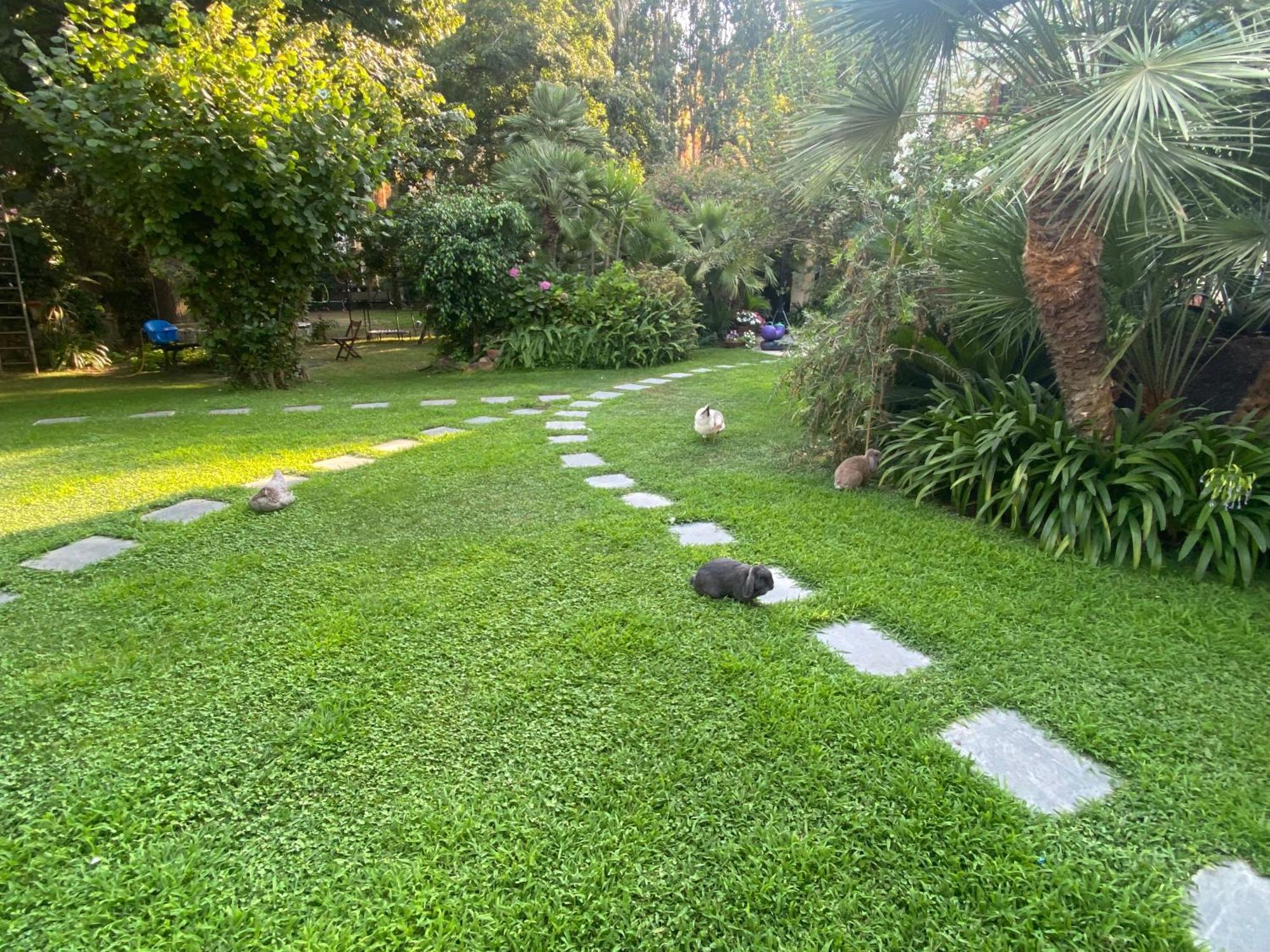 Villa Angelina Casa Limone 瓦莱克罗夏 外观 照片